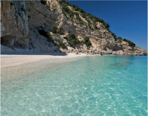 SPIAGGIA DEI GABBIANI
Un punto particolare dove il Monte Conero si tuffa verticalmente nel mare e le bianche roccie affondano nell'azzurro intenso delle acque dell'Adriatico, qui si apre una riparata insenatura, la Spiaggia Dei Gabbiani, piccolo paradiso da visitare assolutamente.